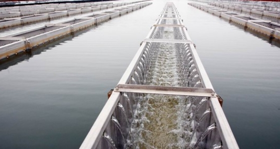 水庫防洪調(diào)度洪水預報系統(tǒng)